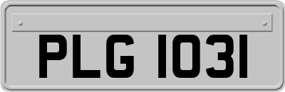 PLG1031