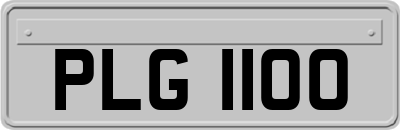 PLG1100