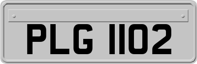 PLG1102