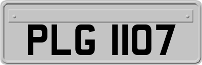 PLG1107