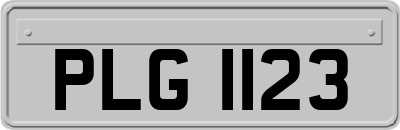PLG1123