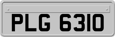 PLG6310