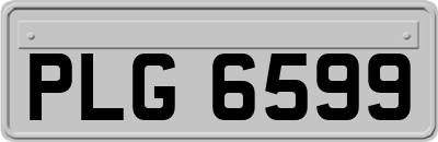 PLG6599