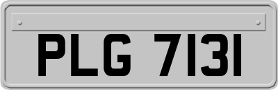 PLG7131