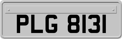PLG8131