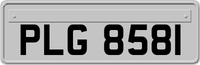 PLG8581