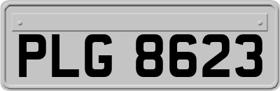 PLG8623