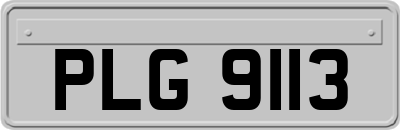 PLG9113