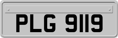 PLG9119