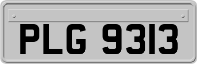 PLG9313