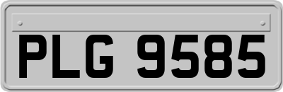 PLG9585