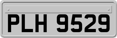 PLH9529