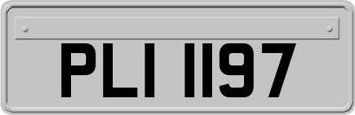 PLI1197