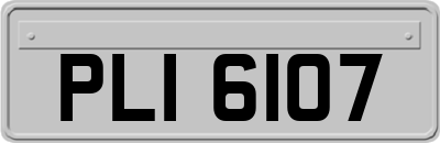 PLI6107