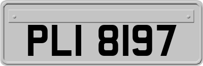 PLI8197