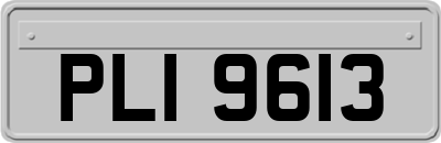 PLI9613