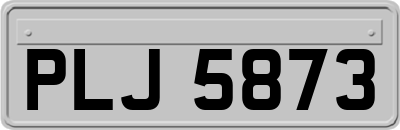 PLJ5873