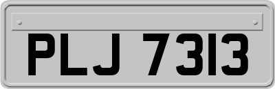 PLJ7313