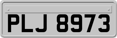 PLJ8973