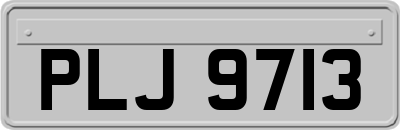 PLJ9713