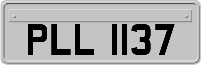 PLL1137