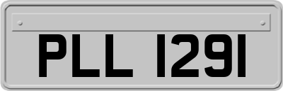 PLL1291
