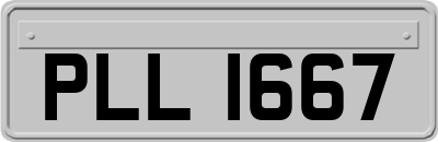 PLL1667