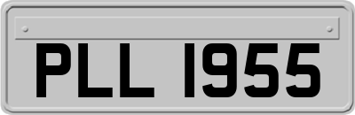 PLL1955