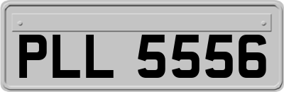 PLL5556