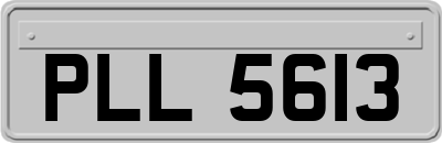 PLL5613