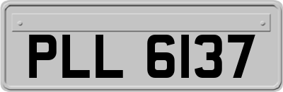 PLL6137
