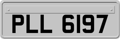 PLL6197