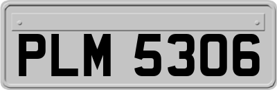 PLM5306