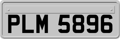 PLM5896