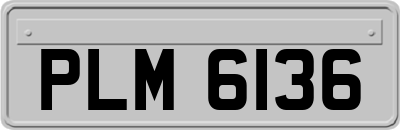 PLM6136