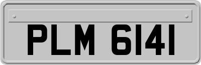 PLM6141