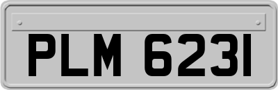 PLM6231