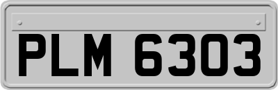 PLM6303