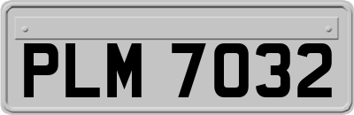 PLM7032