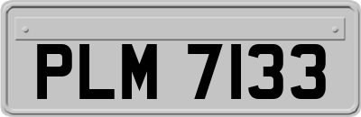 PLM7133