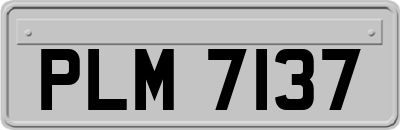 PLM7137