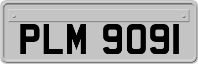 PLM9091