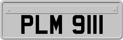 PLM9111