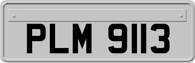 PLM9113