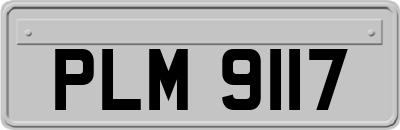 PLM9117