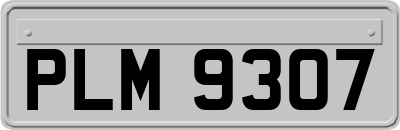 PLM9307