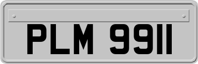 PLM9911
