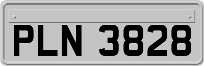 PLN3828