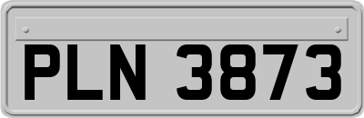 PLN3873