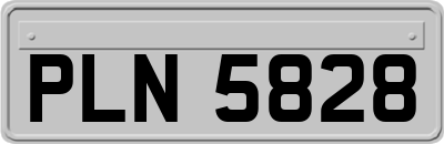 PLN5828